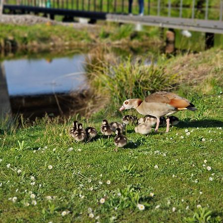 Hotel Am Kurpark Bad Wimpfen Eksteriør bilde
